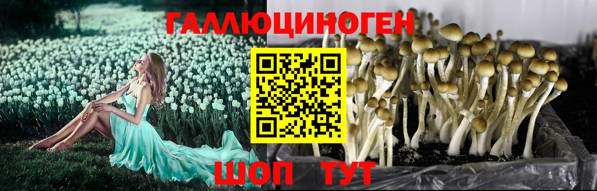Псилоцибиновые грибы MAGIC MUSHROOMS Качканар