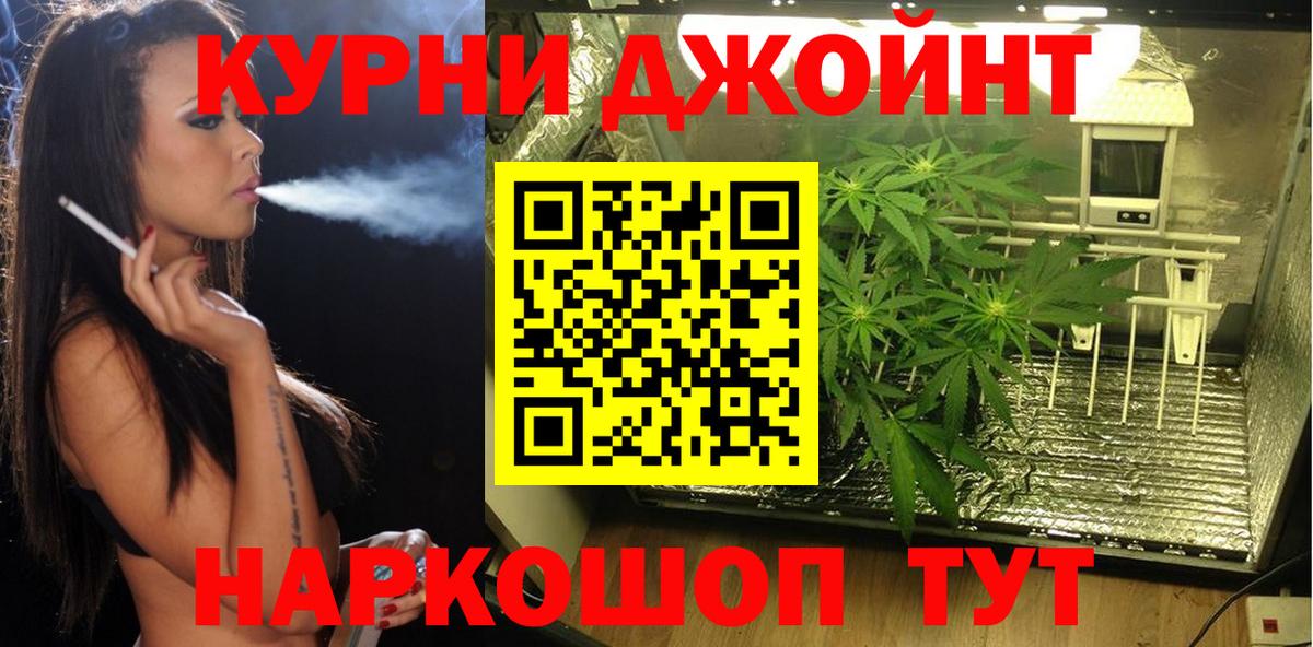 Бошки Шишки индика Качканар